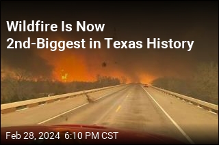 Wildfire Is Now 2nd-Biggest in Texas History
