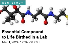 Essential Compound to Life Birthed in a Lab