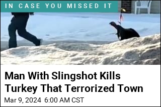 Man With Slingshot Kills Turkey That Terrorized Town
