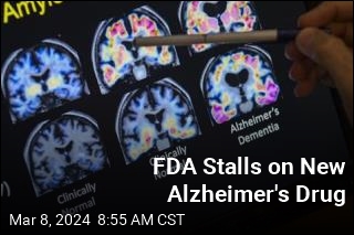 FDA Delays Approval of Eli Lilly&#39;s Alzheimer&#39;s Drug