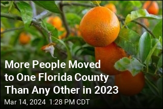 Is It the Oranges? Florida County Leads US as Destination for Movers