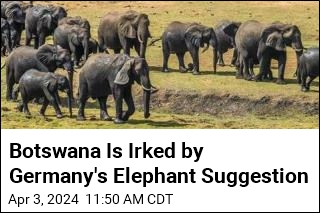 Botswana Takes Offense at Germany&#39;s Elephant Suggestion