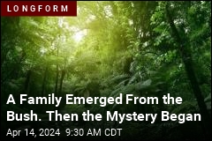 A Family Disappeared in the Bush—the 2nd Time, for Good