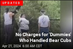 &#39;Bunch of Dummies&#39; Decide to Play With Bear Cubs in Wild
