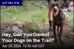 My Love for Dogs Doesn't Mean I Want to See Them on Trails