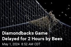 Diamondbacks Game Delayed for 2 Hours by Bees