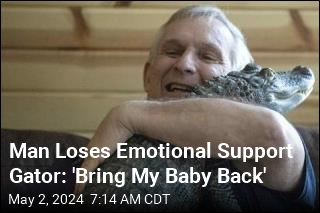 Man Loses Emotional Support Gator: &#39;Bring My Baby Back&#39;