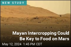 Mayan Intercropping Could Be Key to Food on Mars