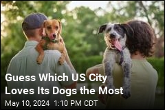Guess Which US City Loves Its Dogs the Most