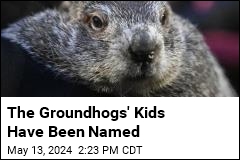 The Groundhogs&#39; Kids Have Been Named