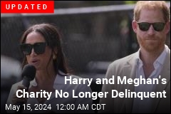 Harry and Meghan&#39;s Nonprofit Declared Delinquent