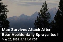 Man Survives Attack After Bear Bites Bear Spray Can