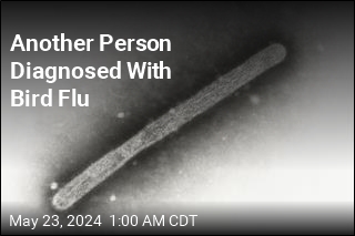 Another Person Diagnosed With Bird Flu