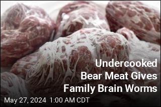Undercooked Bear Meat Gives Family Brain Worms