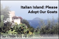 Italian Island: Please Adopt Our Goats