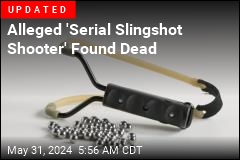 Alleged &#39;Serial Slingshot Shooter,&#39; 81, Arrested