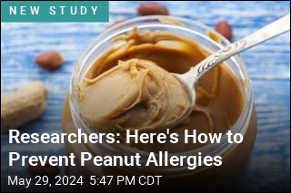 Researchers: Here&#39;s How to Prevent Peanut Allergies