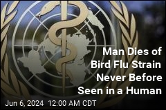 Man Dies of Bird Flu Strain Never Before Found in a Human