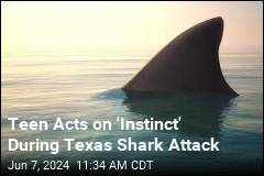Teen Acts on &#39;Instinct&#39; During Texas Shark Attack