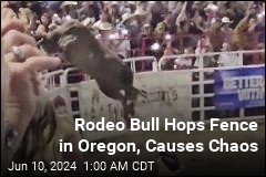 Rodeo Bull Hops Fence in Oregon, Injures 3