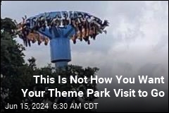 This Is Not How You Want Your Theme Park Visit to Go