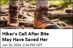 Hiker&#39;s Call After Spider Bite May Have Saved Her