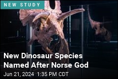 New Dinosaur Species Named After Norse God
