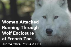 Woman Attacked Running Through Wolf Enclosure at French Zoo