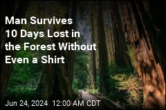 Man Goes Into the Forest Without Even a Shirt, Survives 10 Days Lost