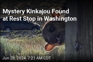 Rainforest Critter Found at Washington State Rest Stop