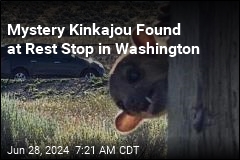 Rainforest Critter Found at Washington State Rest Stop