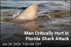 Florida Logs Yet Another Shark Attack