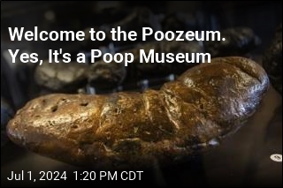 In Arizona, a Museum Dedicated to Fossilized Poop