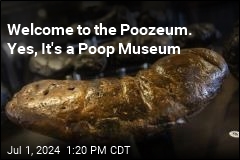 In Arizona, a Museum Dedicated to Fossilized Poop