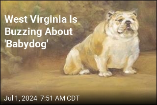 West Virginia Is Buzzing About &#39;Babydog&#39;