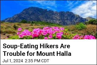 Soup-Eating Hikers Are Trouble for Mount Halla