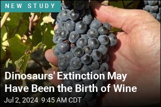 It Killed the Dinosaurs, and Also Gave Us Wine
