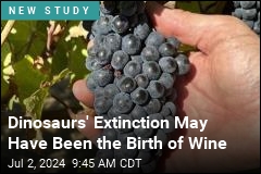 It Killed the Dinosaurs, and Also Gave Us Wine