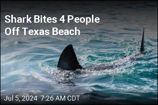 Shark Bites 4 People Off Texas Beach