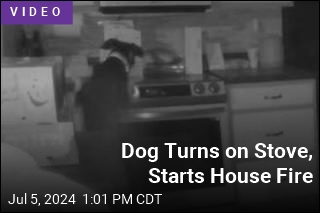 Dog Turns on Stove, Starts House Fire