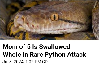 Mom of 5 Is Swallowed Whole in Rare Python Attack