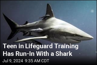 Shark Bites Teen Training to Be Lifeguard