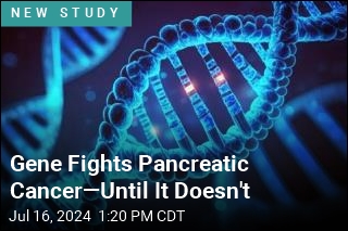Gene Fights Pancreatic Cancer&mdash;Until It Doesn&#39;t