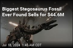 Biggest Stegosaurus Fossil Ever Found Sells for $44.6M