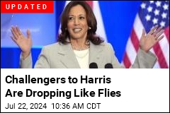 Another Would-Be Challenger Backs Harris