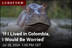 Escobar's Hippos Have Ecologists Worried