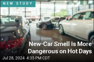 New-Car Smell Is More Dangerous on Hot Days