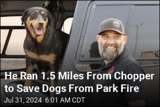 He Ran 1.5 Miles From Chopper to Save Dogs From Park Fire