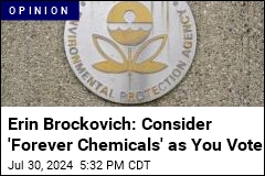 Erin Brockovich: Voters Must Consider &#39;Forever Chemicals&#39;