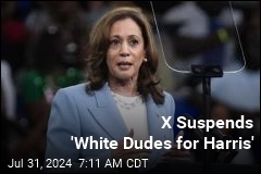 &#39;White Dudes for Harris&#39; Blasts &#39;Suspicious&#39; X Suspension